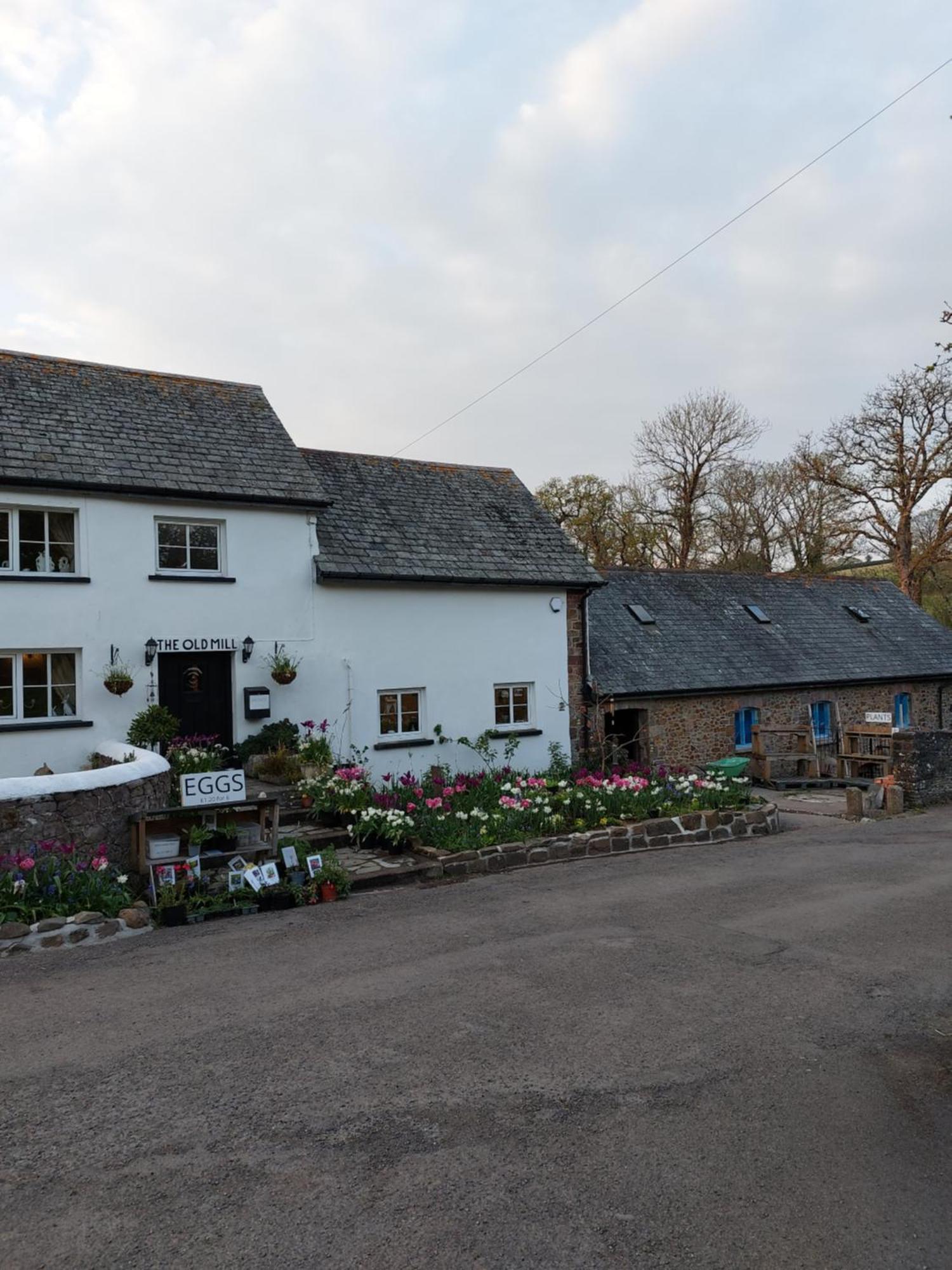 The Millers Cottage Okehampton Zewnętrze zdjęcie