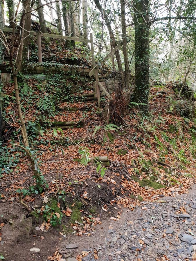 The Millers Cottage Okehampton Zewnętrze zdjęcie